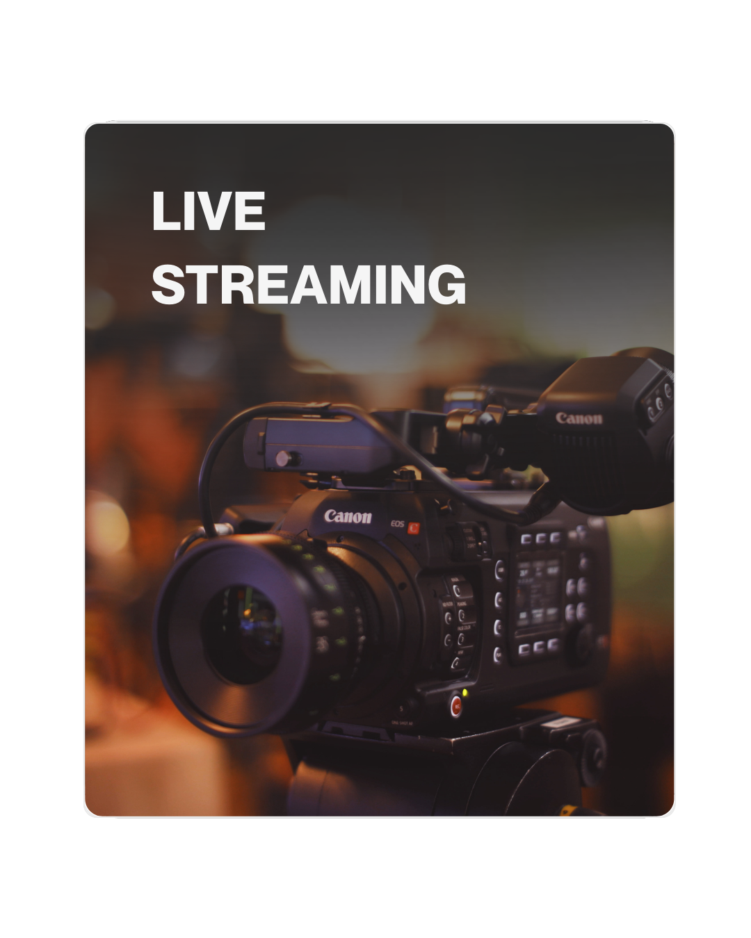 live 02